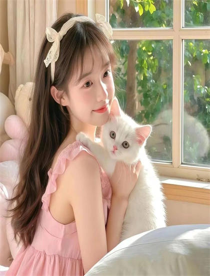 探秘《狐狸之声》的情感表达与人性探索